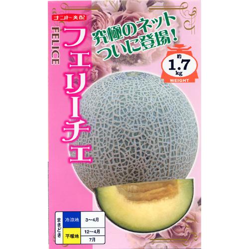 緑肉　フェリーチェ 100粒 めろん メロン 舐瓜 【ナント 種 たね タネ 】【通常5倍 5のつく日はポイント10倍】 | 