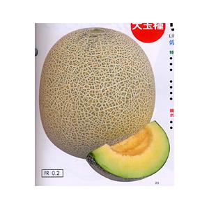緑肉　リムジン 100粒 めろん メロン 舐瓜 【ナント 種 たね タネ 】【通常5倍 5のつく日はポイント10倍】 | 