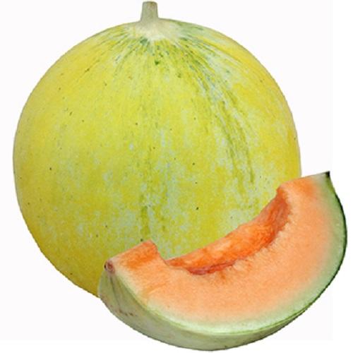 白皮　キューピット 100粒 めろん メロン 舐瓜 【ナント 種 たね タネ 】【通常5倍 5のつく日はポイント10倍】 | 