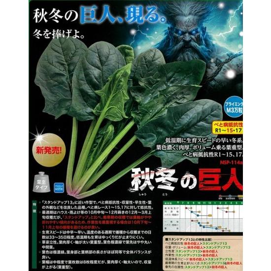 秋冬の巨人 PRM3万粒 ほうれん草 法蓮草 ホウレンソウ ほうれんそう 【ナント 種 たね タネ 】【通常5倍 5のつく日はポイント10倍】 | 