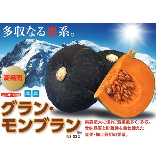 グラン・モンブラン 500粒 南瓜 カボチャ かぼちゃ 【ナント 種 たね タネ 】【通常5倍 5のつく日はポイント10倍】 | 