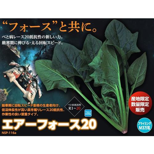 エアーフォース20 プライマックスM3万粒 ほうれんそう 法蓮草 【ナント 種 たね タネ】【通常5倍 5のつく日はポイント10倍】 | 