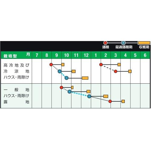 エアーフォース20 プライマックスM3万粒 ほうれんそう 法蓮草 【ナント 種 たね タネ】【通常5倍 5のつく日はポイント10倍】 |  | 01