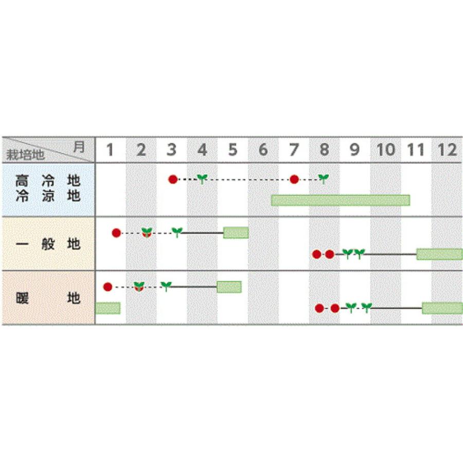 おはよう コート 5000粒 ブロッコリー【サカタ 種 たね タネ】【通常5