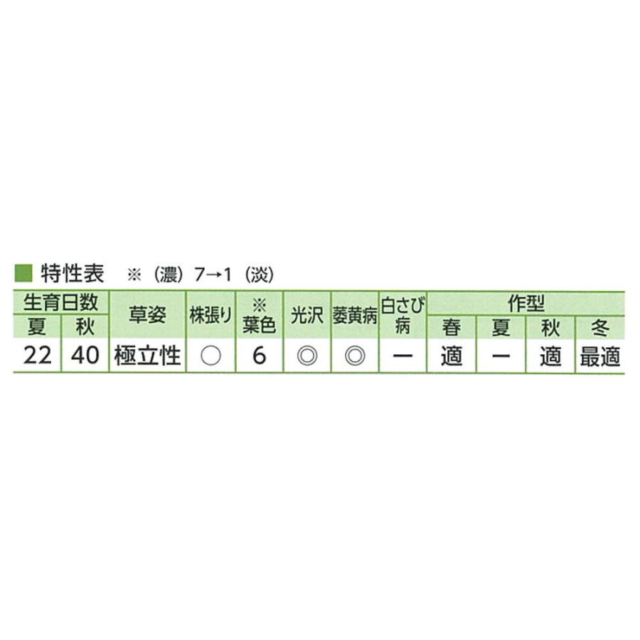 はまつづき 小松菜 2dl 小松菜 コマツナ こまつな【サカタ 種 たね タネ】【通常5倍 5のつく日はポイント10倍】 |  | 01