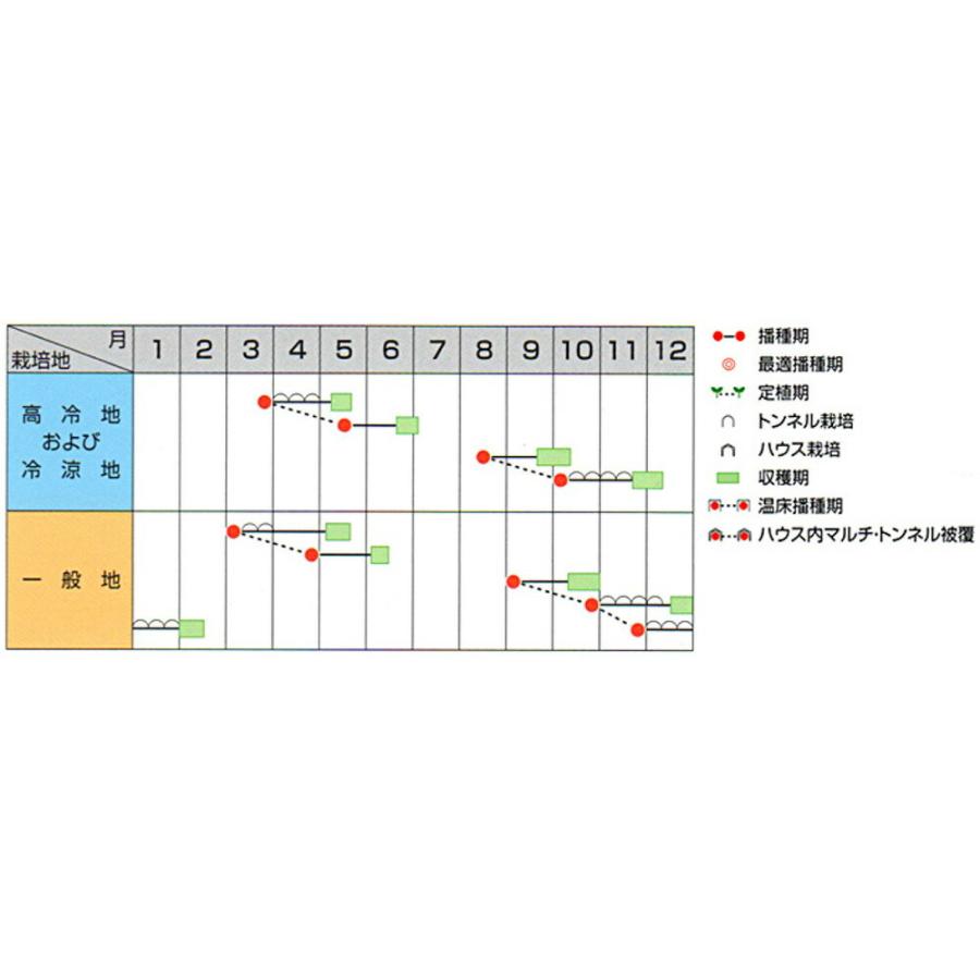 艶帝 チンゲンサイ 20ml 青梗菜 チンゲン菜 チンゲンサイ ちんげんさい【サカタ 種 たね タネ】【通常5倍 5のつく日はポイント10倍】 |  | 01