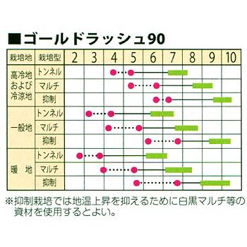 ゴールドラッシュ90 スイートコーン 2000粒 とうもろこし トウモロコシ