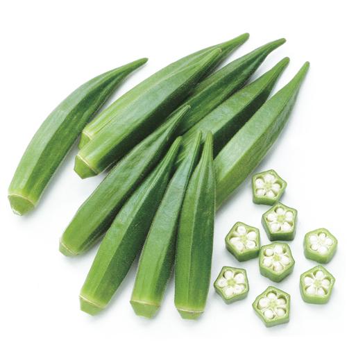 ずーっとみどり 1000粒  オクラ おくら 【サカタ 種 たね タネ】【通常5倍 5のつく日はポイント10倍】 | 