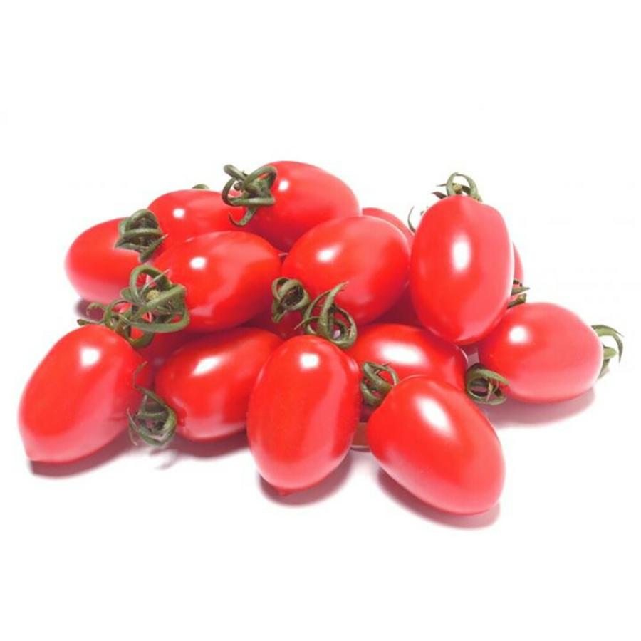 キャンディーベル(プラムミニ) 1000粒 トマト とまと 蕃茄 山陽交配 