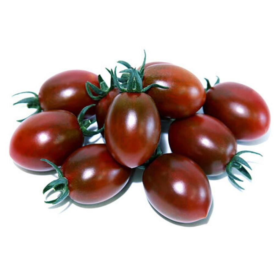 チョコラ・ベル(プラムミニ) 1000粒 トマト とまと 蕃茄 山陽交配