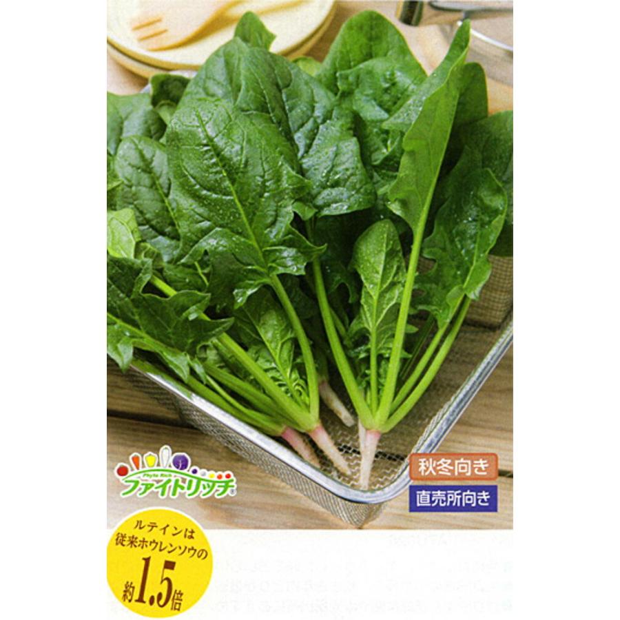 弁天丸法蓮草(エボプライム)  タキイ交配 AM3万粒30センR ほうれん草 ホウレンソウ 【タキイ 種 たね タネ】【通常5倍 5のつく日はポイント10倍】 | 