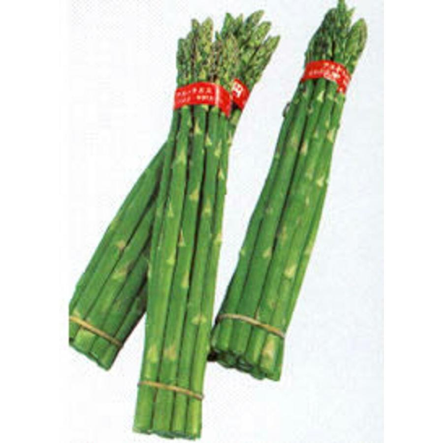 メリーワシントン 1dl100ml アスパラガス【タキイ 種 たね タネ】【通常5倍 5のつく日はポイント10倍】 | 