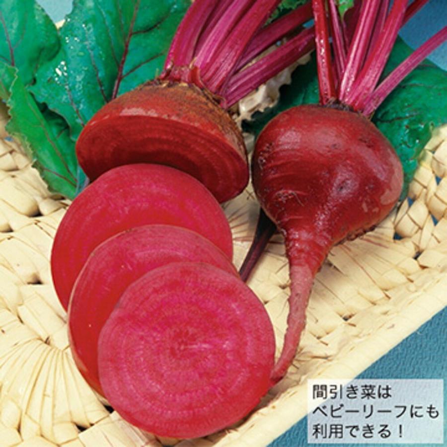 ビーツ デトロイト・ダークレッド 1l1l ビーツ びーつ