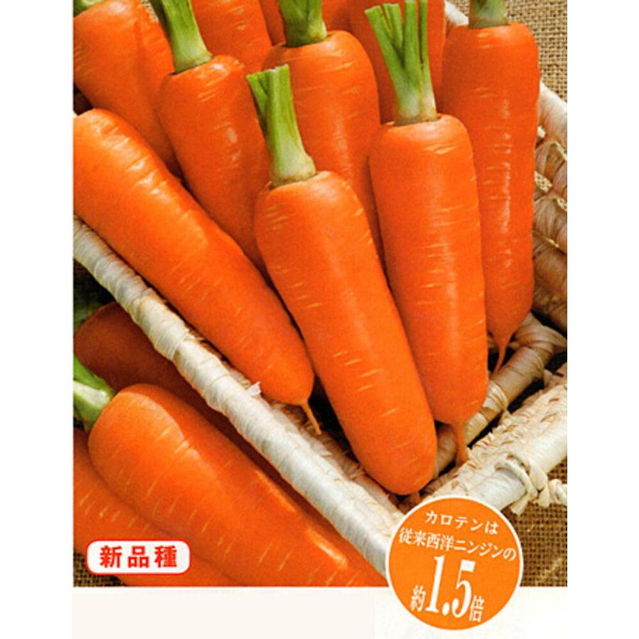 人参 向陽二号 ペレットｌ1万粒 タキイ交配 楽天市場