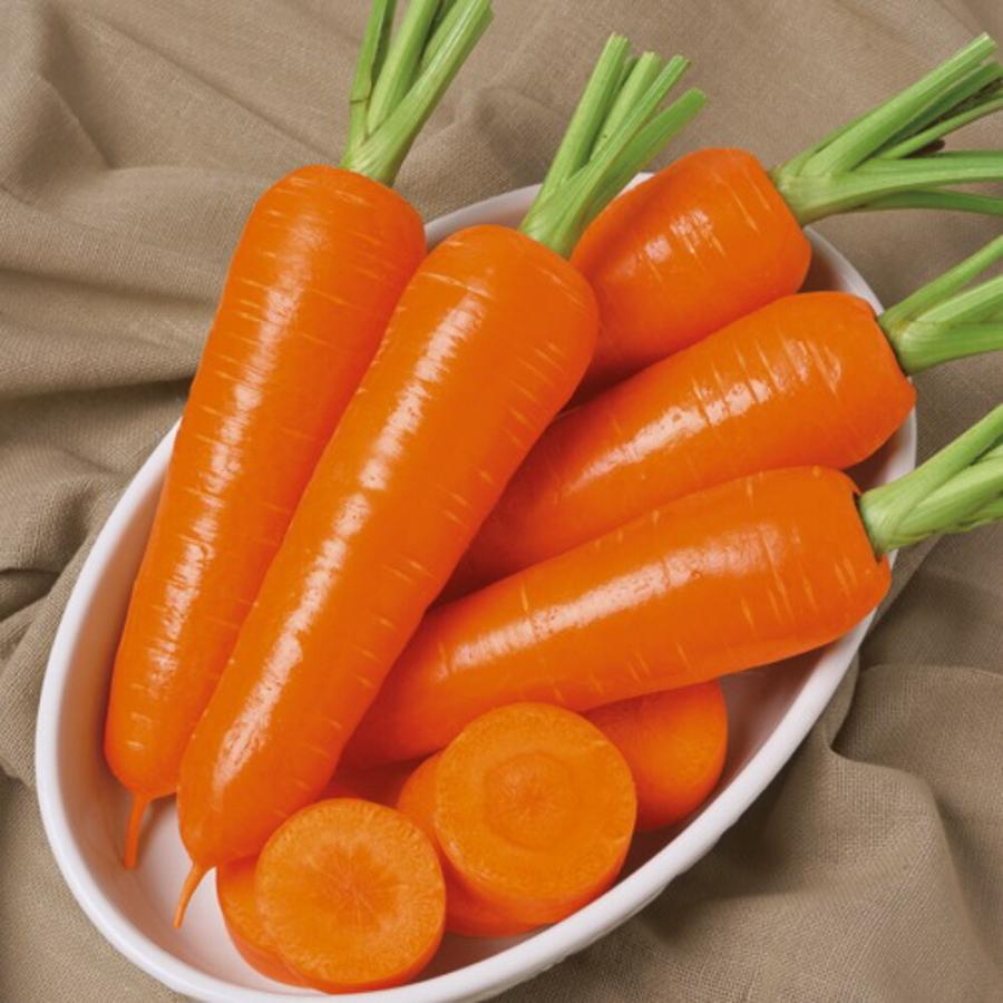 グランプリ人参 タキイ交配 L1万粒10センR ニンジン にんじん 人参【タキイ 種 たね タネ】【通常5倍 5のつく日はポイント10倍】 | 