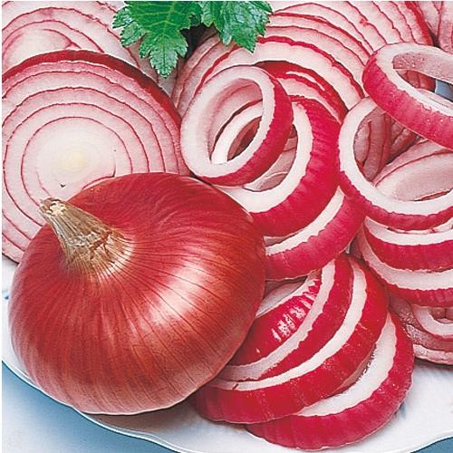 猩々赤玉葱(あかたま) タキイ交配 20ml 玉ねぎ たまねぎ 玉葱 タマネギ【タキイ 種 たね タネ】【通常5倍 5のつく日はポイント10倍】 | 