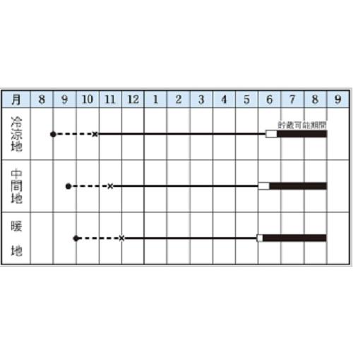 猩々赤玉葱(あかたま) タキイ交配 20ml 玉ねぎ たまねぎ 玉葱 タマネギ【タキイ 種 たね タネ】【通常5倍 5のつく日はポイント10倍】 |  | 01