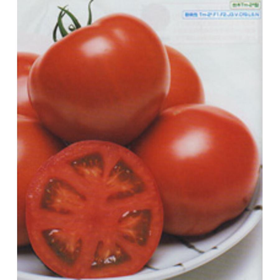 CF桃太郎ヨークトマト タキイ交配  1000粒1センR トマト とまと 蕃茄【タキイ 種 たね タネ】【通常5倍 5のつく日はポイント10倍】 | 