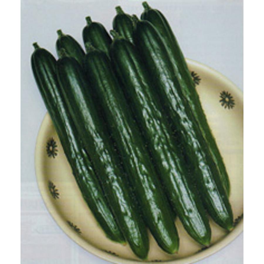 [大人気 ] MOW5C370EIZ (MOW5C370EIZ)