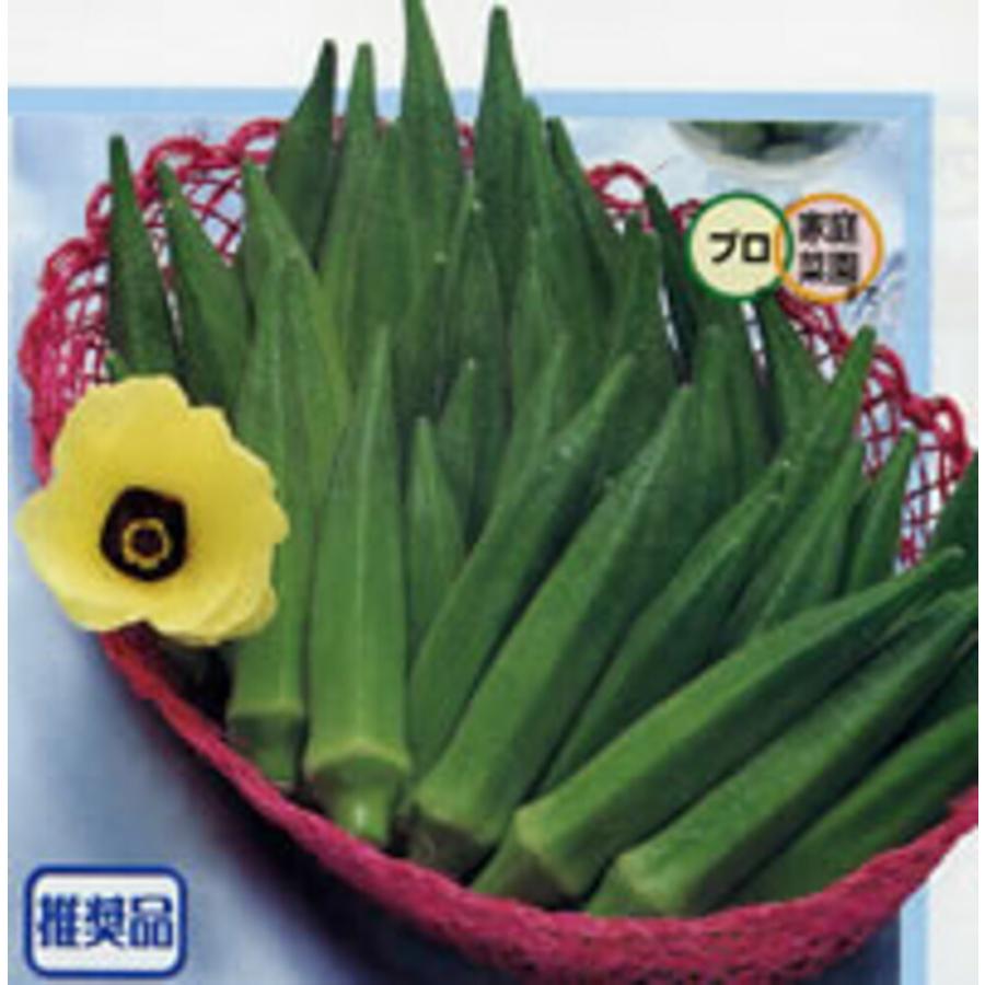 グリーンソード オクラ タキイ交配 1万粒10センR オクラ おくら 【タキイ 種 たね タネ】【通常5倍 5のつく日はポイント10倍】 | 