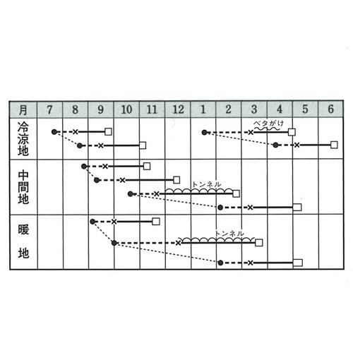 グリーンブーケ（TLE-557)ペレット5,000粒　タキイ育成 リーフレタス レタス 【タキイ 種 たね タネ】【通常5倍 5のつく日はポイント10倍】 |  | 01