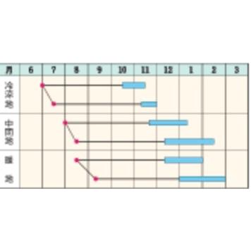 冬ちあき L1万粒 ニンジン にんじん 人参【タキイ 種 たね タネ
