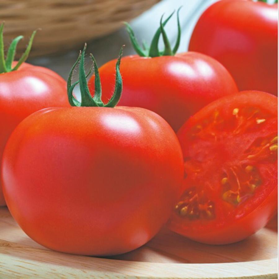 葉かび病耐病性で青枯病にも強い！栽培の安定した夏秋トマト！。桃太郎サニートマト タキイ交配 1センR1000粒 トマト とまと 蕃茄 タキイ 種 たね タネ 通常ポイント7倍5の付く日は10倍
