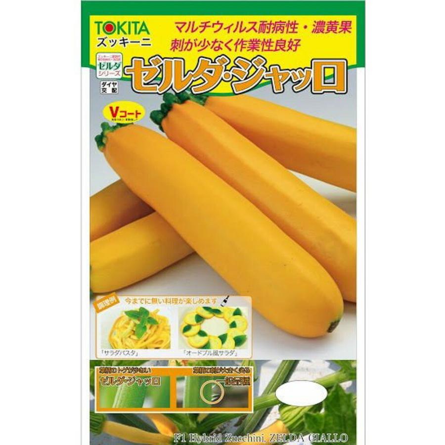 ゼルダ・ジャッロ ズッキーニ 100粒 ズッキーニ ずっきーに【トキタ 種 たね タネ】【通常5倍 5のつく日はポイント10倍】 | 