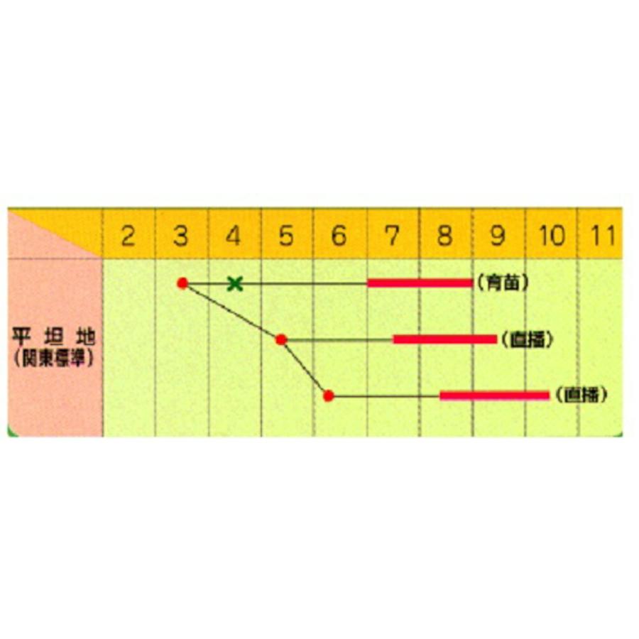 青はぐら 1L ウリ うり 瓜【トキタ 種 たね タネ】【通常5倍 5のつく日はポイント10倍】 |  | 01
