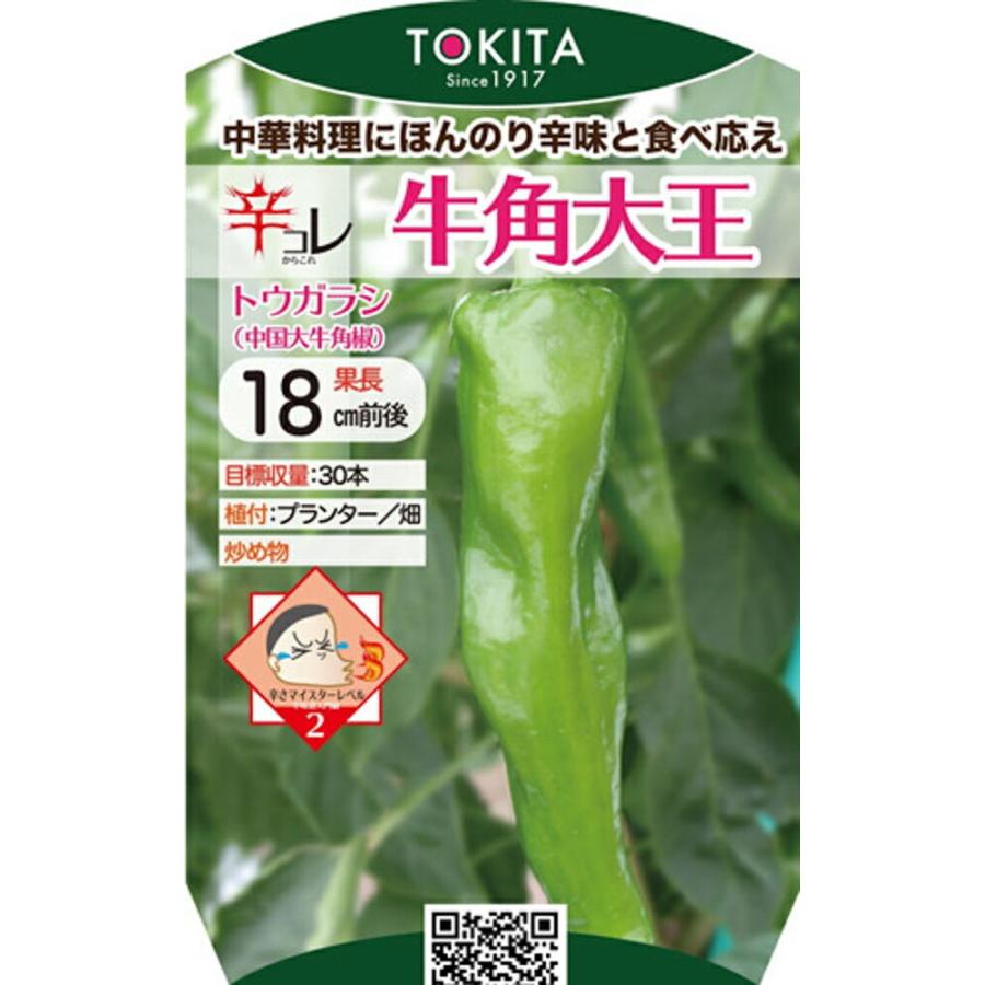辛コレシリーズ 牛角大王 100粒 唐辛子 とうがらし トウガラシ ダイヤ交配 【トキタ 種 たね タネ】【通常5倍 5のつく日はポイント10倍】 | 