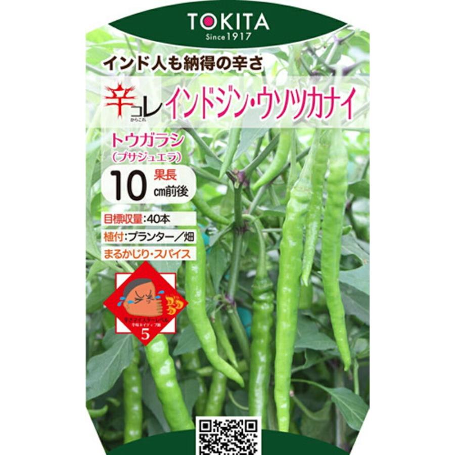 辛コレシリーズ インドジン・ウソツカナイ 100粒 唐辛子 とうがらし トウガラシ ダイヤ交配 【トキタ 種 たね タネ】【通常5倍 5のつく日はポイント10倍】 | 