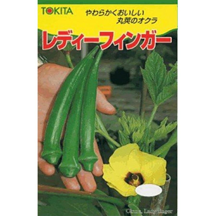 レディーフィンガー 1L オクラ おくら 【トキタ 種 たね タネ】【通常5倍 5のつく日はポイント10倍】 | 