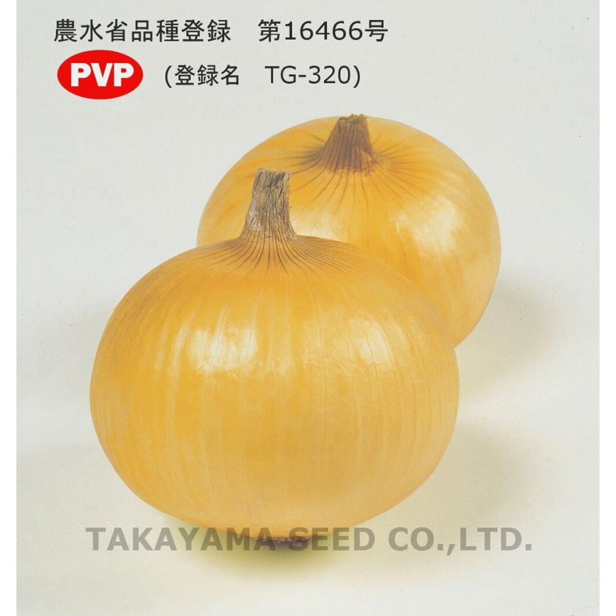 トップゴールド320 PVP 2dl 玉ねぎ たまねぎ 玉葱 タマネギ