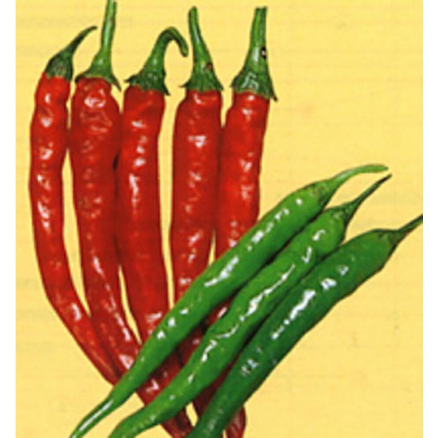 げきから 20ml 唐辛子 とうがらし トウガラシ【渡辺採種場 種 たね タネ 】【通常5倍 5のつく日はポイント10倍】 | 