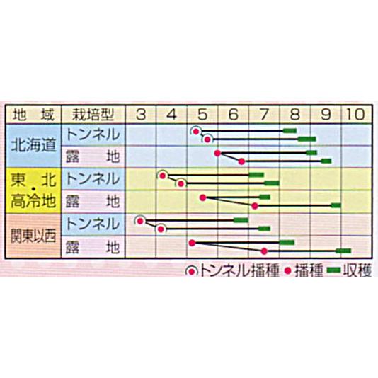 カロライン86 2000粒 とうもろこし トウモロコシ 玉蜀黍【渡辺採種場 種 たね タネ 】【通常5倍 5のつく日はポイント10倍】 |  | 01