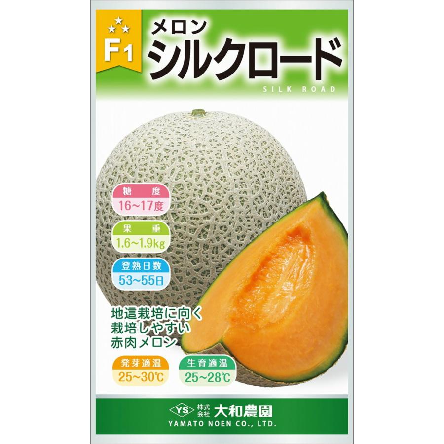 シルクロード 100粒 めろん メロン 舐瓜【大和農園 種 たね タネ】【通常5倍 5のつく日はポイント10倍】 | 
