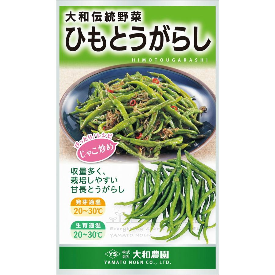 ひもとうがらし 10ml 唐辛子 とうがらし トウガラシ【大和農園 種 たね タネ】【通常5倍 5のつく日はポイント10倍】 | 