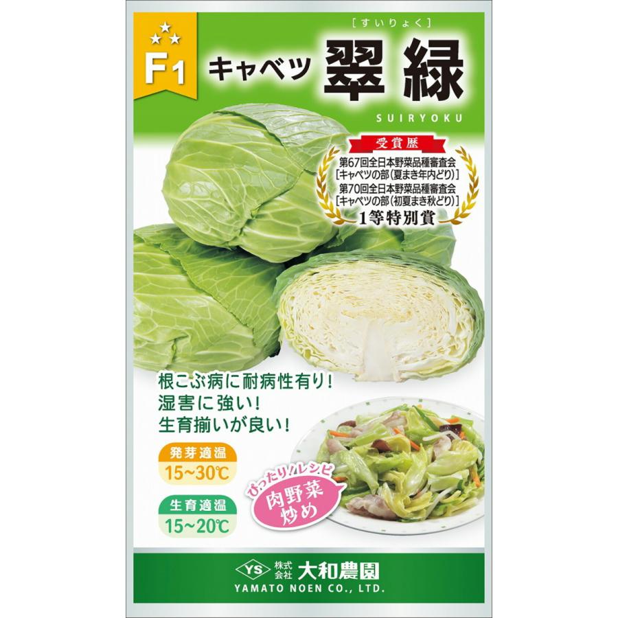 翠緑 5000粒コート キャベツ【大和農園 種 たね タネ】【通常5倍 5の