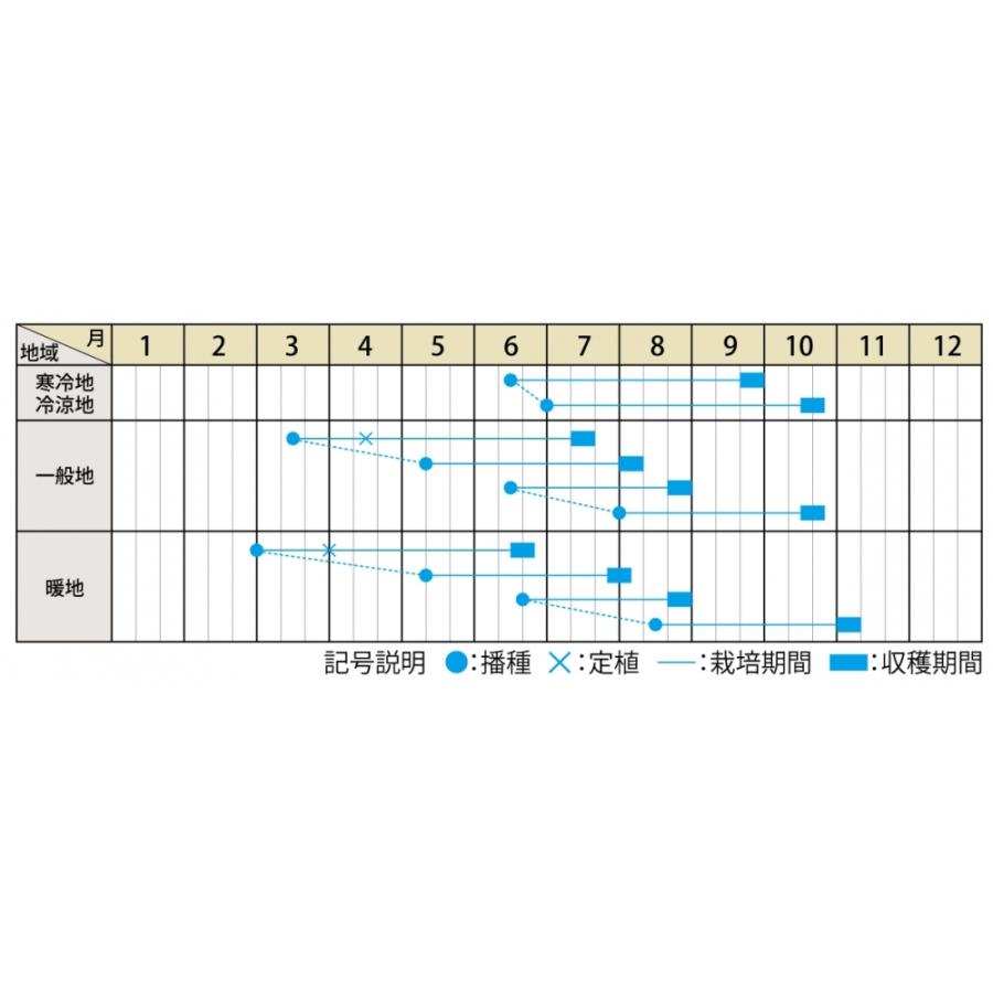 食品 かねなな様専用 大和ルージュ5キロ