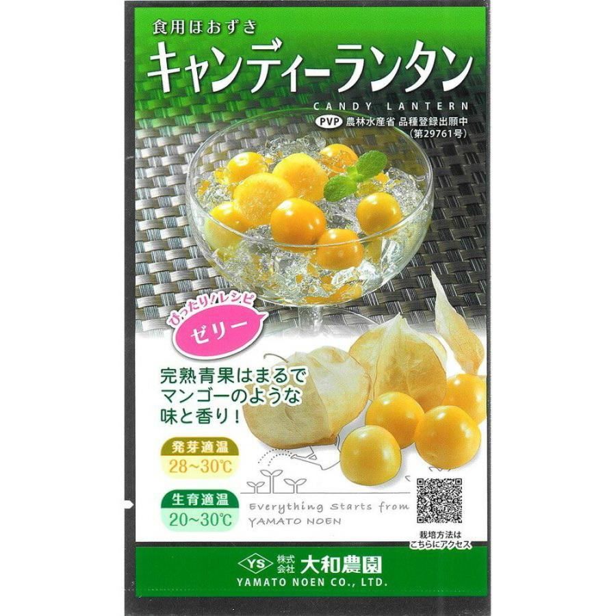 食用ホオズキ キャンディーランタン PVP コート100粒 ほおずき ホオズキ 酸漿【大和農園 種 たね タネ】【通常5倍 5のつく日はポイント10倍】 | 