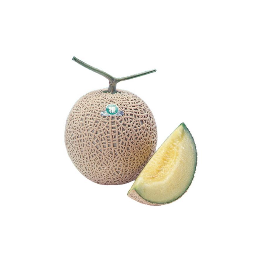 雅302 100粒 めろん メロン 舐瓜 ウエキ交配 横浜植木 【横浜植木 種 たね タネ 】【通常5倍 5のつく日はポイント10倍】 | 