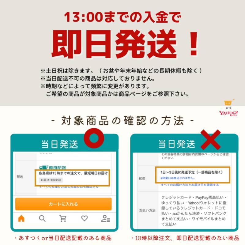 限定時計ケースおまけ特典付 セイコー プロスペックス SBDL089 SPEEDTIMER スピードタイマー ソーラー クロノグラフ メンズ 腕時計 ベージュ SEIKO PROSPEXの画像
