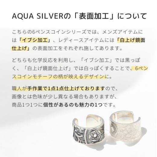 シルバーピアス AQUA SILVER レディース 彼女 女性 誕生日プレゼント ギフトメンズ 彼氏 男性 誕生日プレゼント ギフト |  | 14