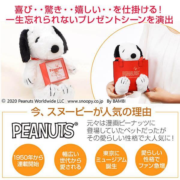 スヌーピー ピアス ぬいぐるみ付 ギフトセット レディース 両耳用 ウッドストック プレゼント 女性 彼女の画像