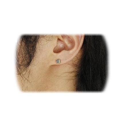 芸能人愛用 ダイヤモンド ピアス シルバー Tolteca 彼氏 クリスマス メンズ 送料無料 誕生日 トルテカ ギフトラッピング 記念日 メンズアクセサリー Zimupdates Co Zw