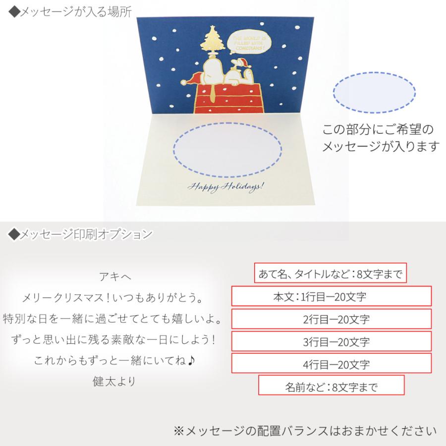 クリスマス スヌーピー 夜空に雪 メッセージカード レディース 彼女 女性 誕生日プレゼント ギフトメンズ 彼氏 男性 誕生日プレゼント ギフト Xar 764 326 ジェイウェルドットコム 通販 Yahoo ショッピング