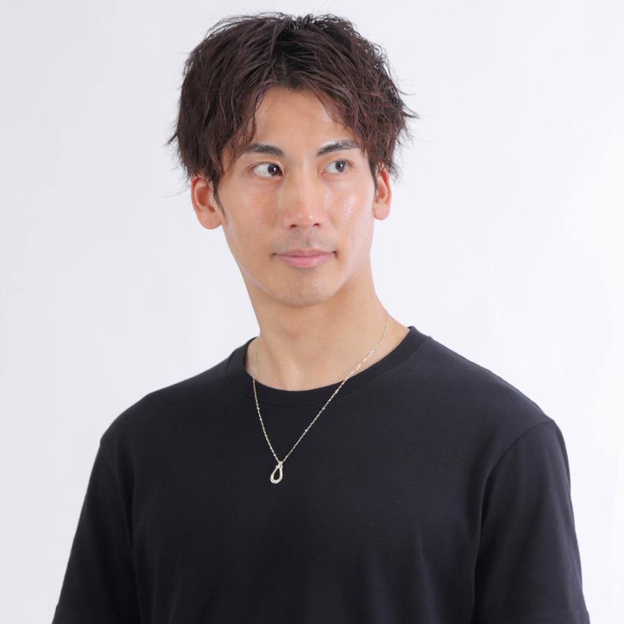 ペガサス 馬蹄 メンズ ネックレス プラチナ 1石 ダイヤモンド Pt900 Pt850 蹄鉄 ホースシュー アズキ チェーン 50cm 1.4mm幅 男性用 おすすめ 受注製作 爆買の画像
