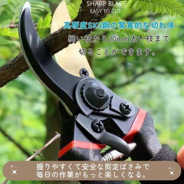 剪定ばさみ ハサミ 枝切りバサミ 剪定はさみ 錆びにくい フッ素