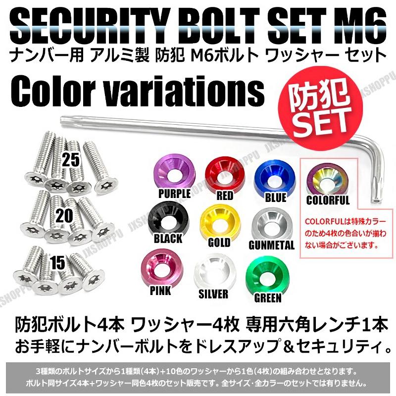盗難防止 ナンバーボルト セット ステンレス トルクスネジ 盗難防止 ナンバーボルト セット ステンレス トルクスネジ