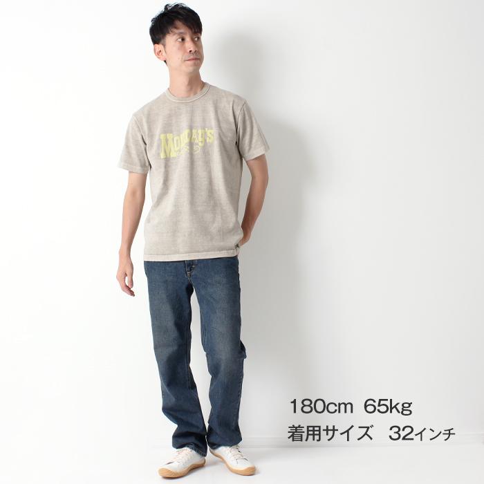 Lee RIDERS 201 リー ライダース メンズ レギュラー ストレート Lee RIDERS 201 リー ライダース メンズ レギュラー ストレート